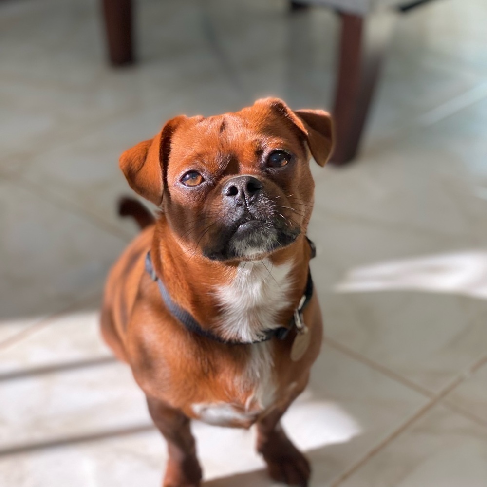 Meet your Posher, Edgar